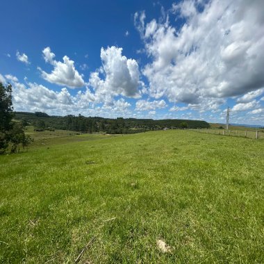Excelente Chácara à venda em Portão/RS Excelente Chácara à venda em Portão/RS