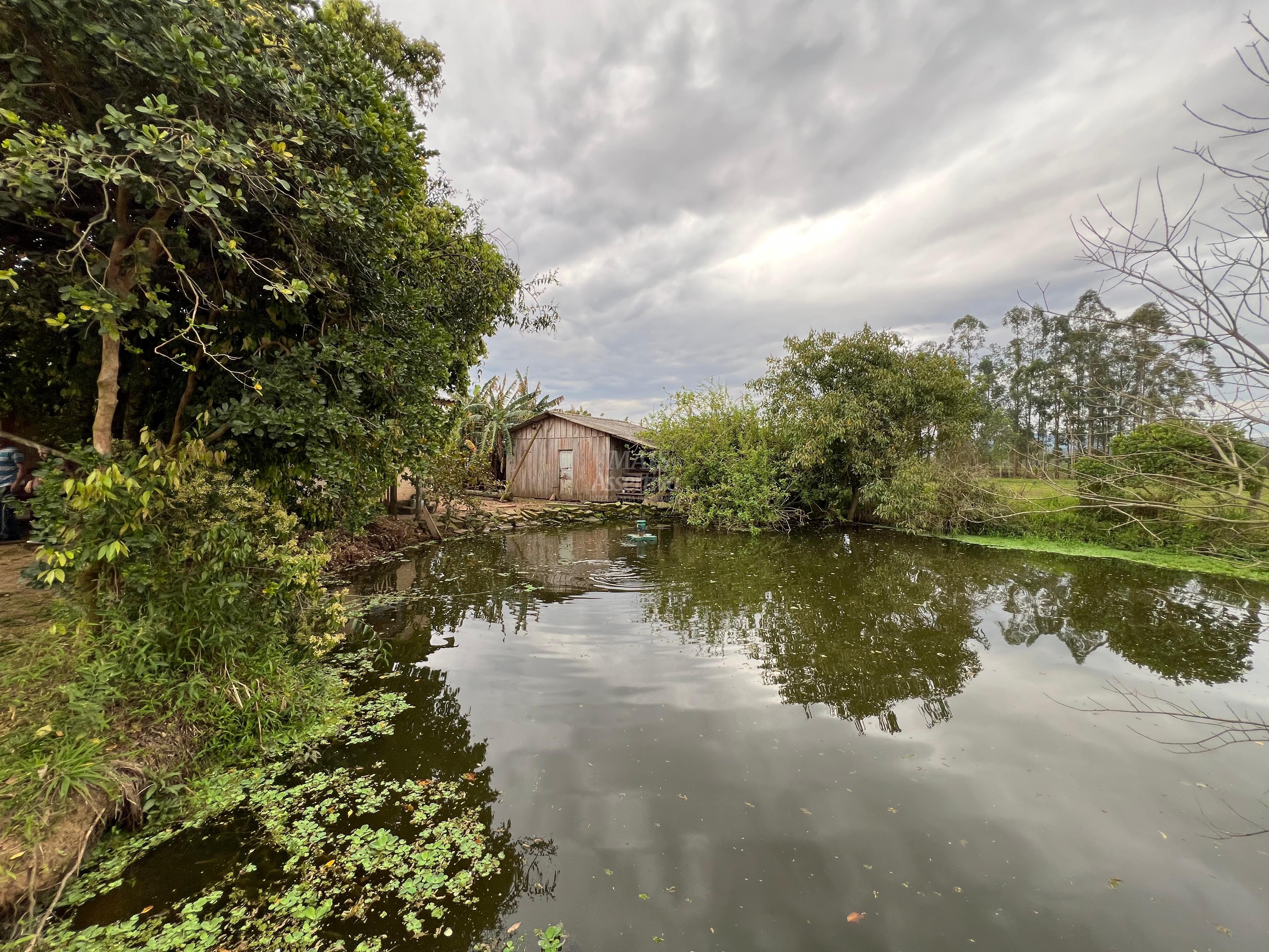 Chácara, 2 quartos, 1 hectares - Foto 15