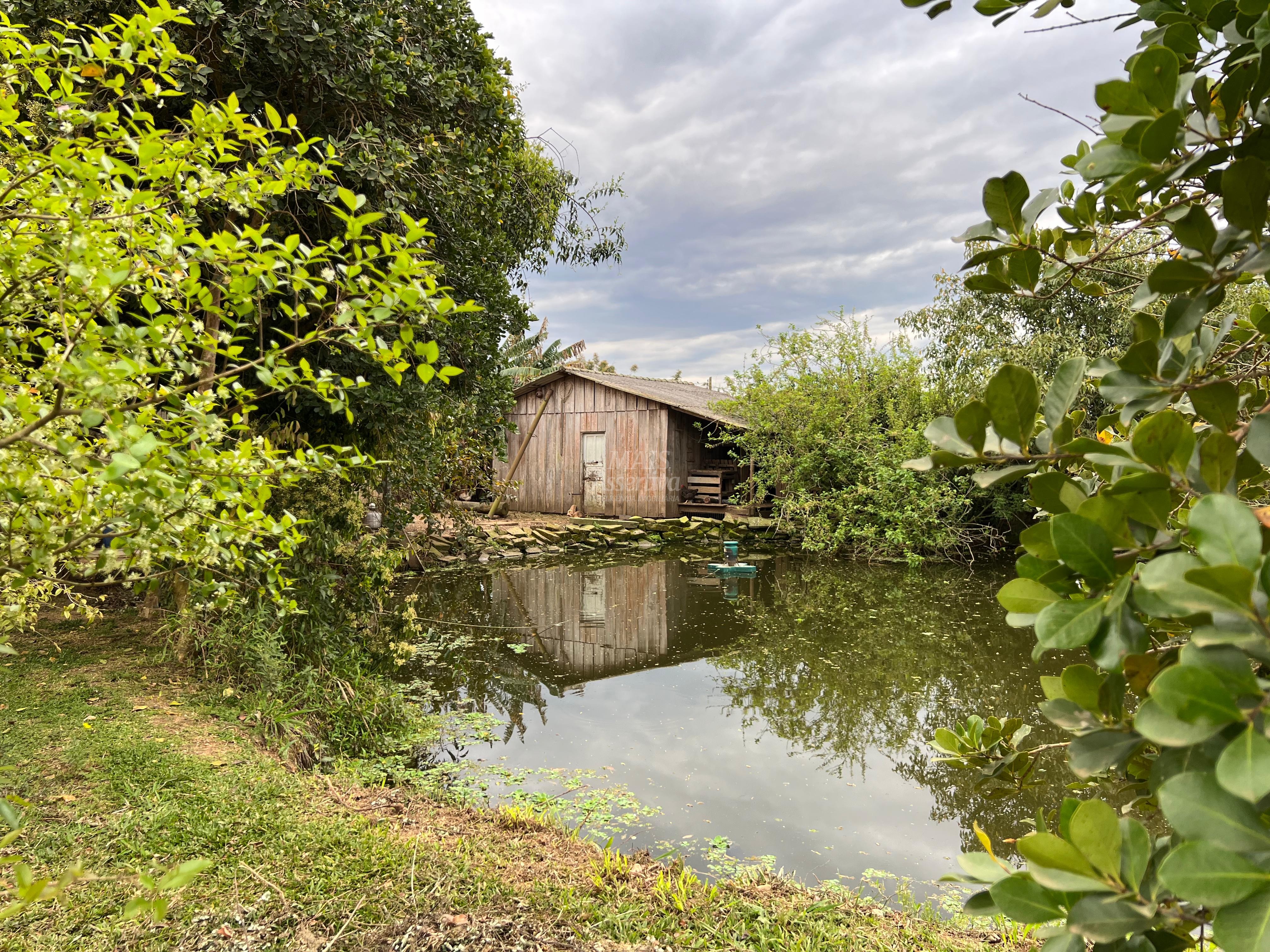 Chácara, 2 quartos, 1 hectares - Foto 16