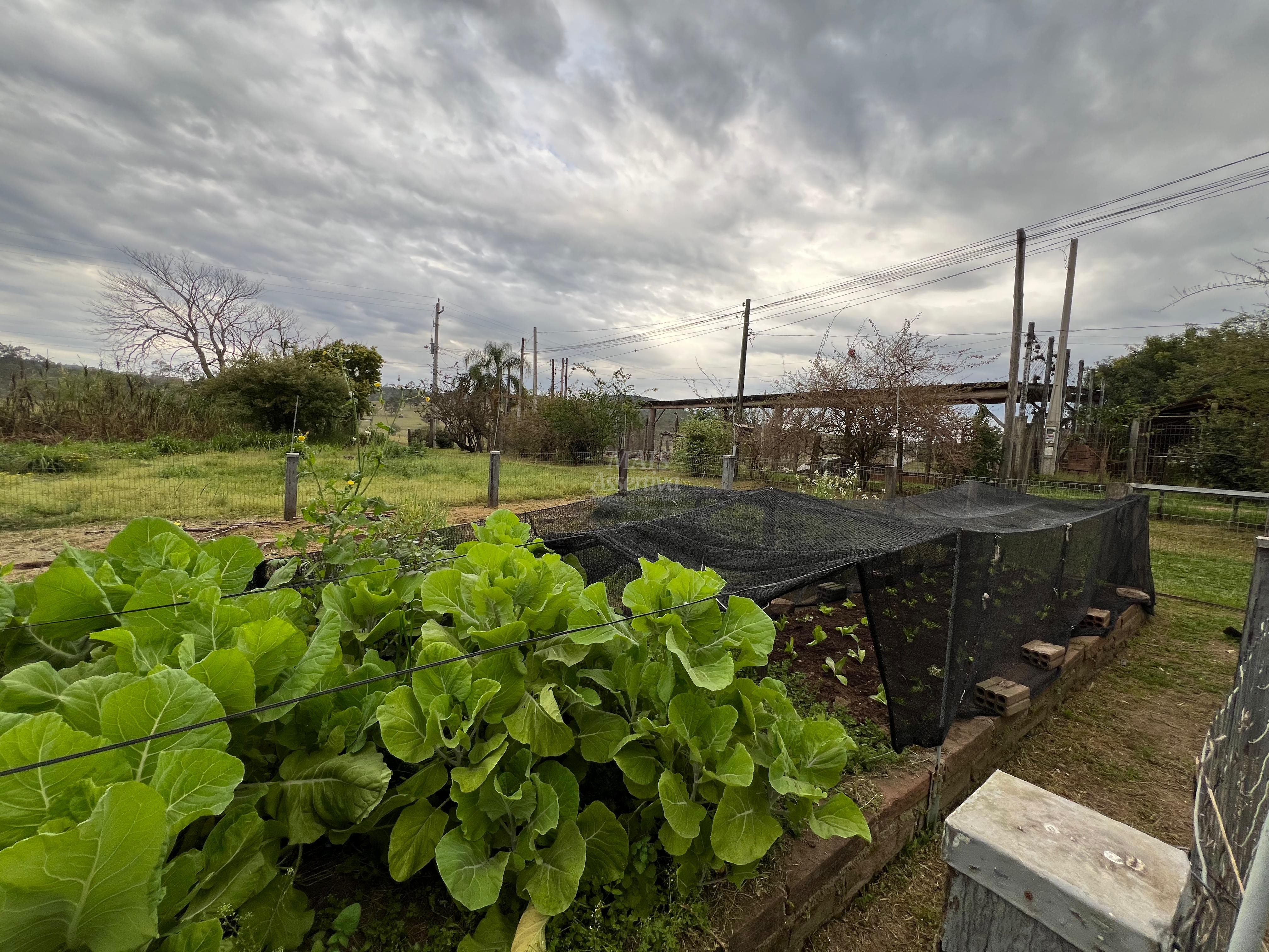 Chácara, 2 quartos, 1 hectares - Foto 18