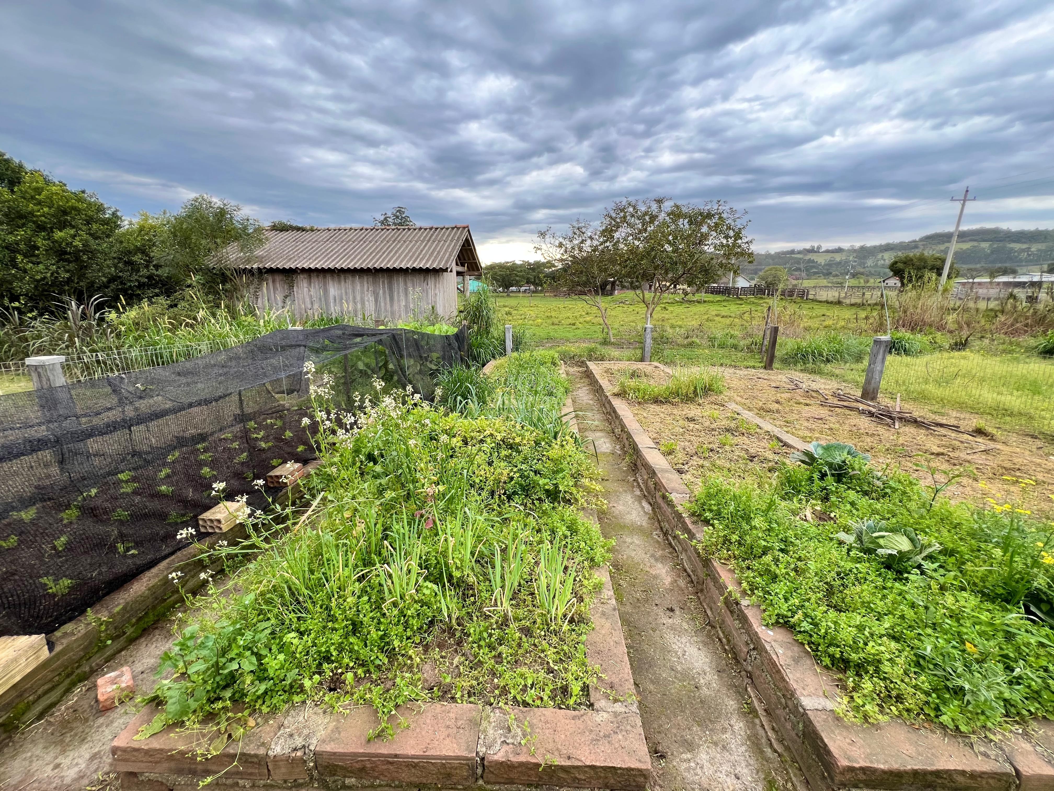 Chácara, 2 quartos, 1 hectares - Foto 19