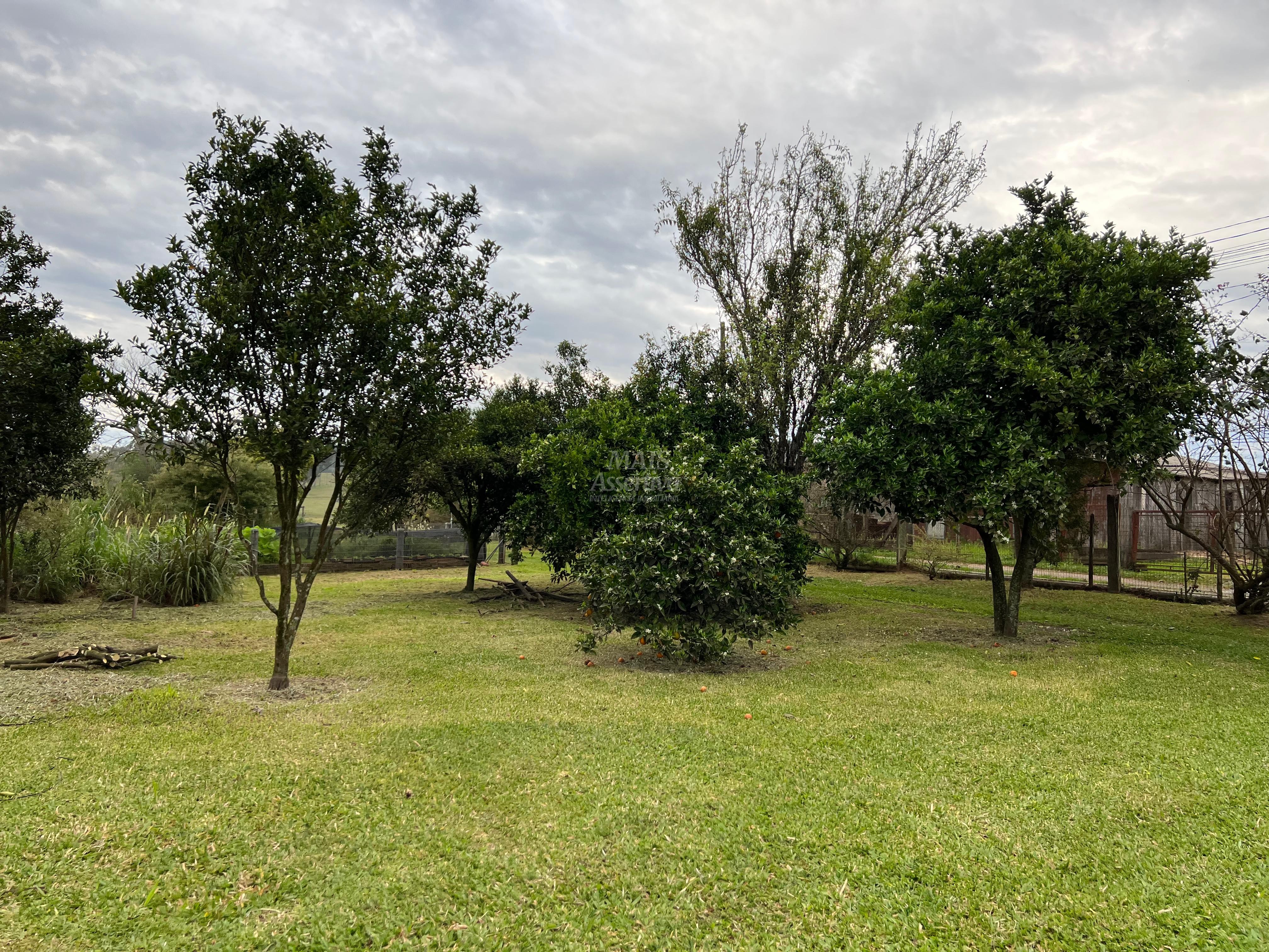 Chácara, 2 quartos, 1 hectares - Foto 21