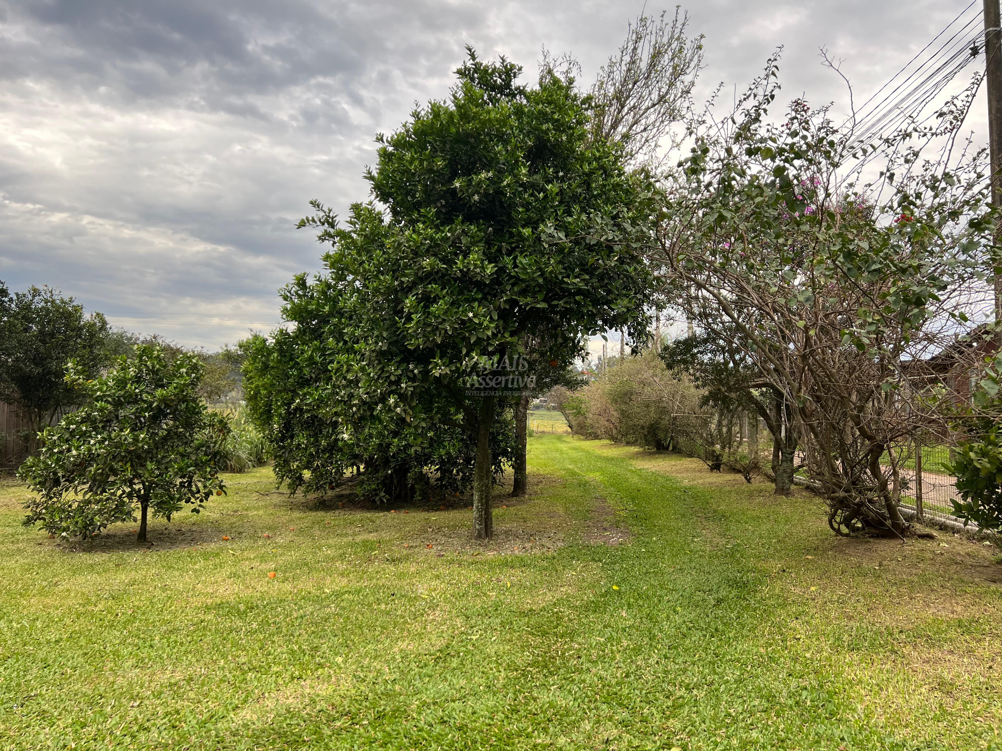 Chácara, 2 quartos, 1 hectares - Foto 23