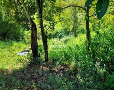 Terreno para Venda em Rolante / RS Terreno para Venda em Rolante / RS