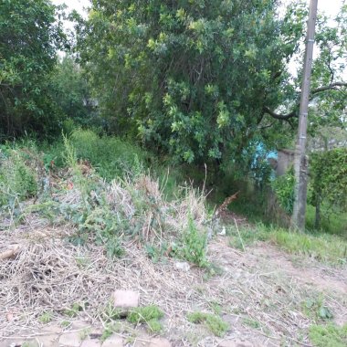 Excelente Terreno à Venda em Santa Cruz do Sul Bairro Senai Excelente Terreno à Venda em Santa Cruz do Sul Bairro Senai