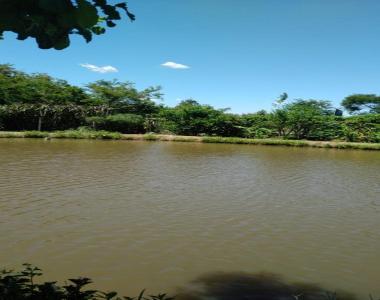 Chácara para Venda em Santo Antônio da Patrulha / RS no bairro Pinheirinhos Chácara para Venda em Santo Antônio da Patrulha / RS no bairro Pinheirinhos