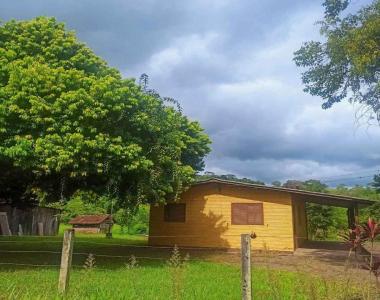 Chácara para Venda em Novo Hamburgo / RS no bairro Lomba Grande Chácara para Venda em Novo Hamburgo / RS no bairro Lomba Grande