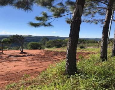 Terreno para Venda em Novo Hamburgo / RS no bairro Lomba Grande Terreno para Venda em Novo Hamburgo / RS no bairro Lomba Grande